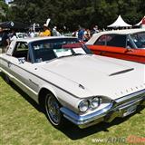 1964 ford thunderbird