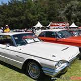 1964 ford thunderbird