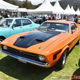 1971 ford mustang hardtop