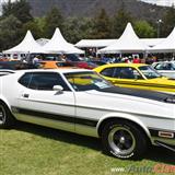 1973 ford mustang mach one