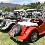 1955 mg tf roaster