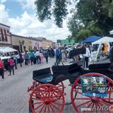 9a gran exhibición y paseo turístico 2014, imágenes del evento - parte i