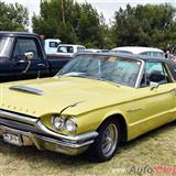 1964 ford thunderbird