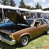 1980 chevrolet malibu