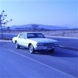 caprice classic landau 1981