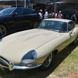 jaguar e-type