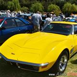 corvette stingray