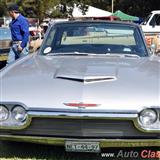 1961 ford thunderbird