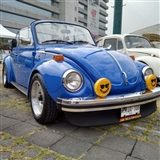 1977 volkswagen super beetle convertible                                                                                                                                                                