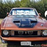 1973 ford mustang