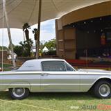 1966 ford thundebird