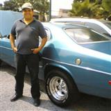 dodge dart 1980 6 cilindros