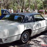 1969 ford thunderbird