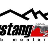 decimo aniversario club mustang monterrey