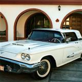 ford thunderbird 1959.