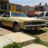 mi caprice 77