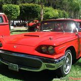 9o aniversario encuentro nacional de autos antiguos, ford thunderbird 1958