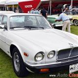 1984 jaguar xj6