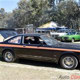 1980 dodge super bee