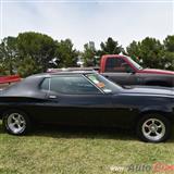 ford torino