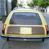 pacer wagon 1977