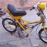 1980 otro scooter honda espress ii                                                                                                                                                                      