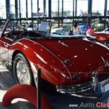 1962 austin healey 3000 mkii motor 6l de 3000cc 136hp