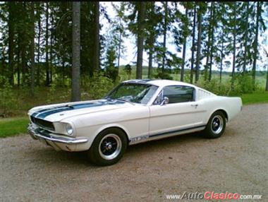 1966 Ford MUSTANG 1966 2+2 FB GT 350 STD. 289 REST Fastback