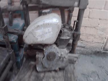 Otro ducatti ciciolo Ciclomotor 1960