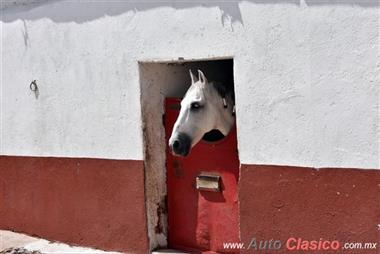 Hacienda De Don Antonio Aguilar