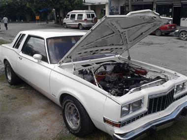 1981 Dodge Dart Magnum Hardtop