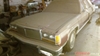 1981 Ford LTD CROWN VICTORIA Sedan