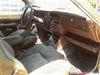 1981 AMC RALLY  AMX Hatchback