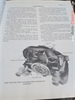 Manual  De Mantenimiento Del Volkswagen  Sedan 1600