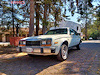 1982 AMC Lerma 620 Hatchback