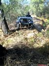 1965 Jeep willys Pickup
