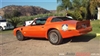 1978 Pontiac Firebird Fastback