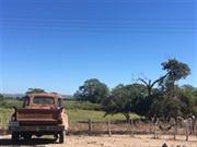 Chevrolet pickup