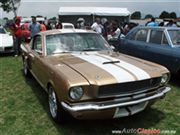 Ford Mustang 1965 Fastback GT350 - 9a Expoautos Mexicaltzingo's Rating