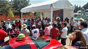 Calificación de Imágenes del Evento - Parte I - 8o Aniversario Amigos del Mustang Toluca