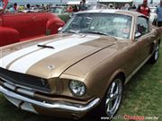 Ford Mustang 1965 Fastback GT350 - 9a Expoautos Mexicaltzingo's Rating