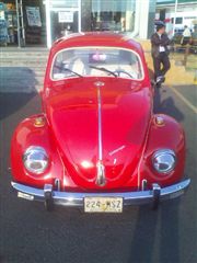 Vocho Vochito VW modelo 1971