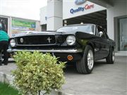 RESTAURACION DE MI MUSTANG 1965 - Exhibiciones