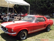 1967 Ford Mustang Hardtop - 10a Expoautos Mexicaltzingo's Rating