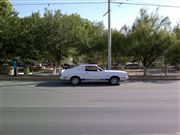 Mi Mustang Cobra II