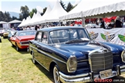 Calificación de 1964 Mercedes-Benz 220 - XXXI Gran Concurso Internacional de Elegancia