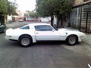 Fotos de pontiac trans am 1980 firebird