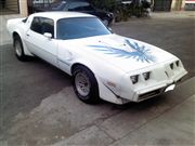 Fotos de pontiac trans am 1980 firebird