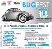 Bug Fest Puebla 2018