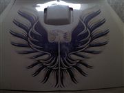 Fotos de pontiac trans am 1980 firebird